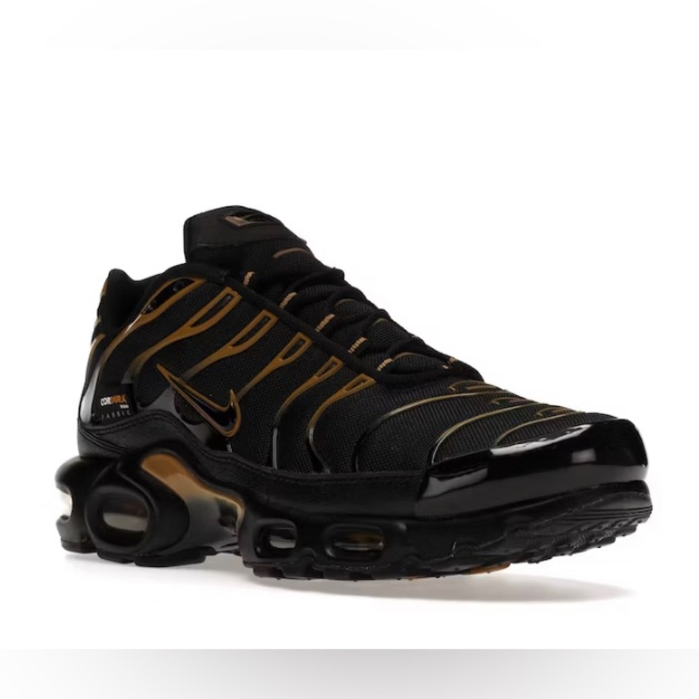 Nike air max plus “Cordura Black”
